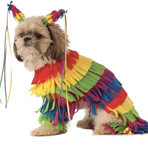 Dog pinata costume size Medium 15-30lbs, new with tags - Picture 8 of 10